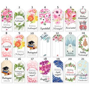 Kísérő kártya- választható mintával