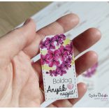 Kísérő kártya- választható mintával