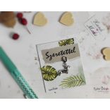 Tacsi fém medál mágneses ajándékkártyával