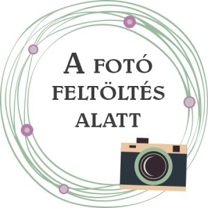 Ajándék doboz díszcsomagolás Ajándék doboz díszcsomagolás