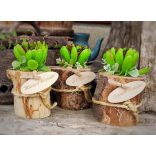 Díszített farönk dísz felirattal